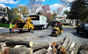 Best Palm Tree Trimming  in Twin Lakes, CA